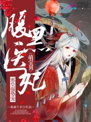 腹黑医妃萌宝贝邪皇强势宠