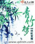 以爱为名小说