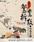 李默涵小说