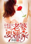 总裁老公太难缠老婆要翘家