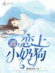 慕璃枫小说
