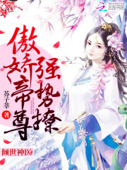穿越入赘小说