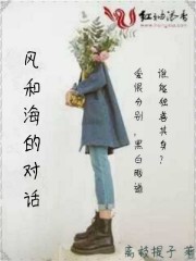 平安小说