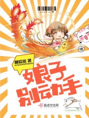 《娘子别动手》主角新娘子小姐完整版完结版