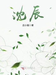 沈辰