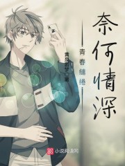 《青春缱绻：奈何情深》主角许皖许奈精彩试读章节列表在线阅读