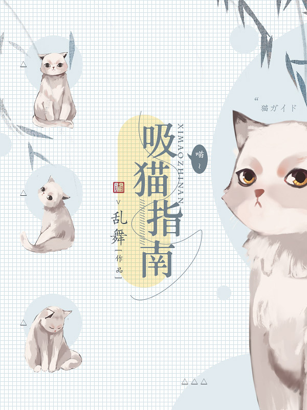 《吸猫指南》主角乔薇张筱梦全文试读免费阅读完结版