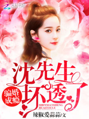 骗婚成瘾沈先生坏透了
