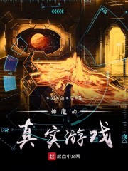 警匪 小说