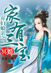 弃妇娘亲之家有三宝