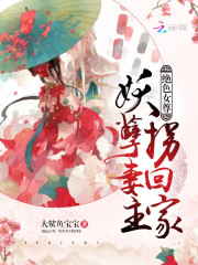 全章小说