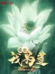 【重生我为莲大结局完本】主角叶白白莲