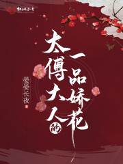 太傅大人的一品娇花