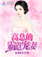 《高先生的漫漫情深》主角乔乔有铭全文试读完本在线阅读