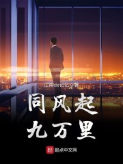 同风起九万里