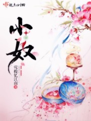 《小奴》主角以身相许王爷完结版精彩章节