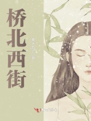 桥北西街