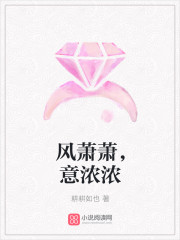 伪娘群 小说