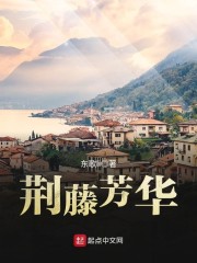 帝国时代系统小说