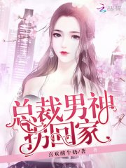 总裁男神拐回家