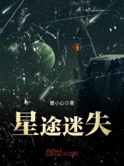 张震 小说