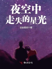 《夜空中走失的星光》主角林菲娅夏星小说完整版完本