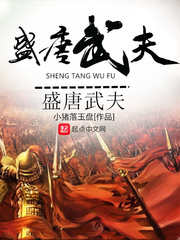 玫瑰纸小说