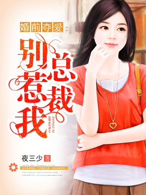 婚前夺爱：总裁别惹我