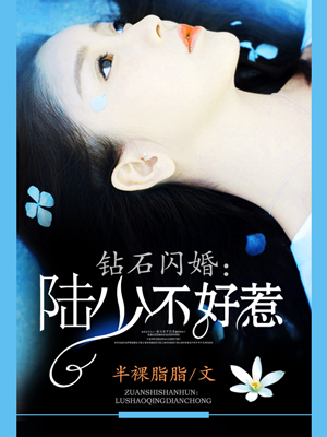 钻石闪婚陆少不好惹