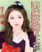 明月档的小说