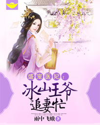 盛宠医妃：冰山王爷追妻忙