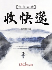 【我在大唐收快递章节列表无弹窗完本】主角李承乾小太监