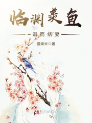 猫柴米