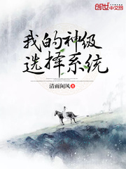 《我的神级选择系统》主角林安闵在线阅读章节目录