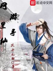 《网游里寻仙》主角叶寻仙完整版完本