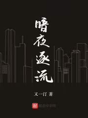 暗夜，逐流