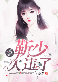机战皇小说