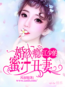 一婚成瘾江少的蜜汁丑妻