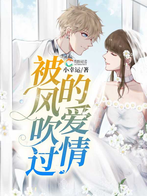 被风吹过的爱情