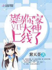 菜鸟你家VIP大神上线了