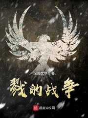 好看的小狮王小说