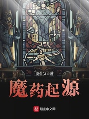 顶起小说