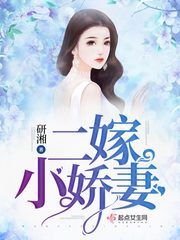 二嫁小娇妻小说精彩阅读 纳琴小姐在线阅读精彩试读完整版