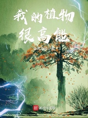 春风浪蝶