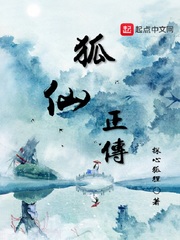 探心狐狸