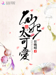靖雁小说