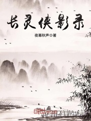长灵侠影录