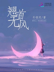 佣兵老婆小说