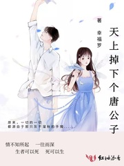 天上掉下个唐公子