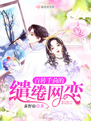 百转千茴的缱绻网恋